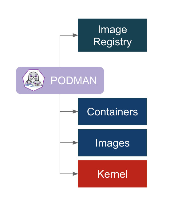 podman run