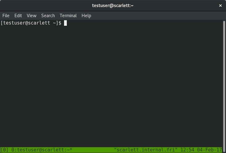 tmux run